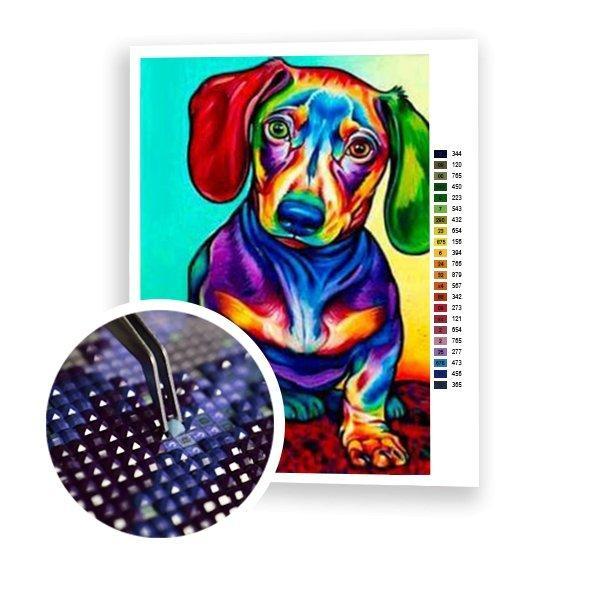 Colored Dachshund